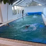 Huge Mansion With Spa, Pool, Steam,bar, Cinema Villa